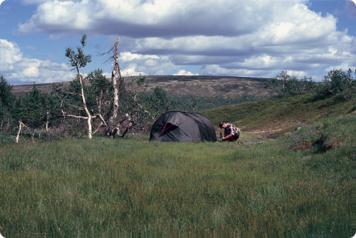 Vacker tältplats vid "Gruvan" i Vedungfjällens naturreservat
